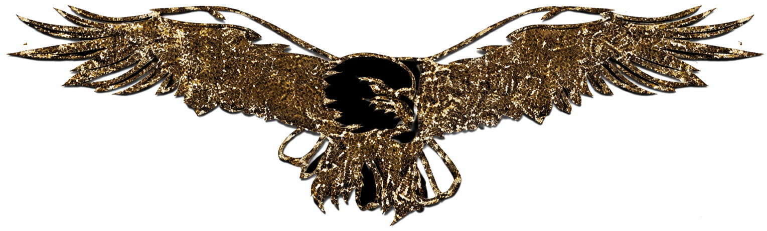 FBR Logo